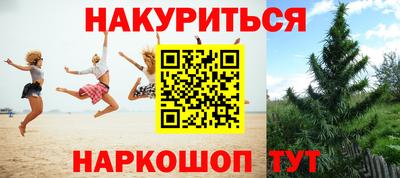 шишки Заводоуковск
