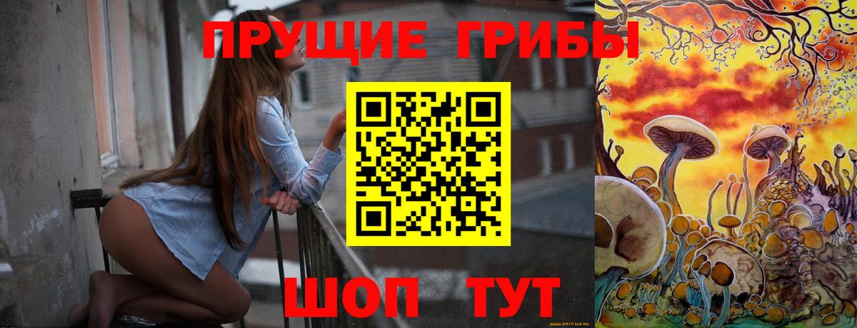 Галлюциногенные грибы Psilocybe  Галлюциногенные грибы прущие грибы  Вход с VPN  Кинель 