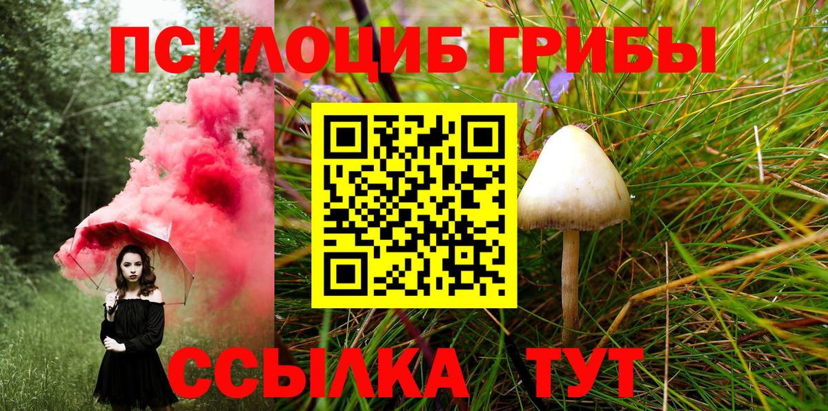 Псилоцибиновые грибы ЛСД Кинель