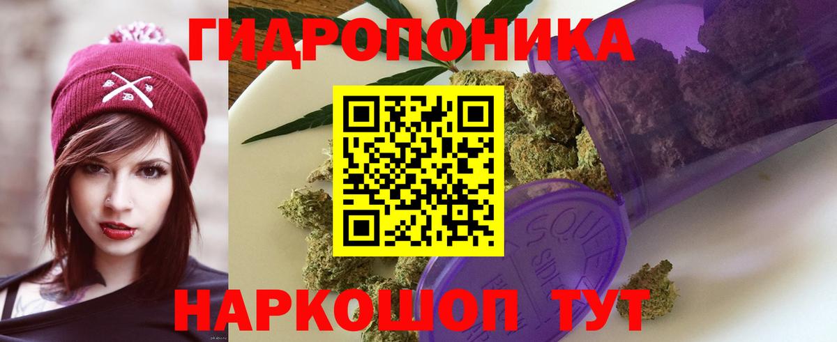 Кинель  Шишки марихуана тримм  Марихуана конопля  Вход с VPN  Марихуана план 